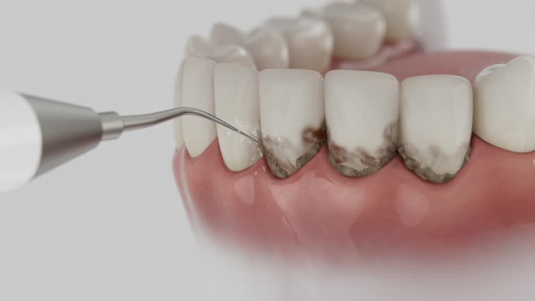 Reliable Dental contractor in Dolton, IL by Dentist Open Now